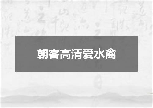 朝客高清爱水禽