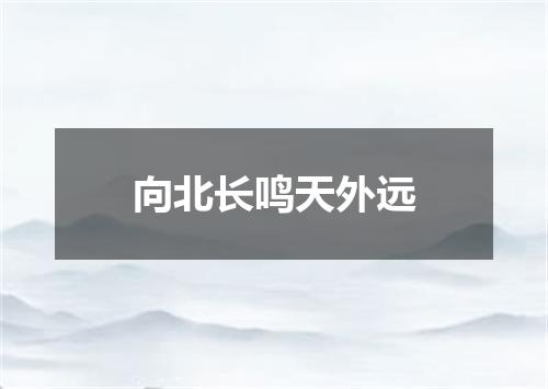 向北长鸣天外远