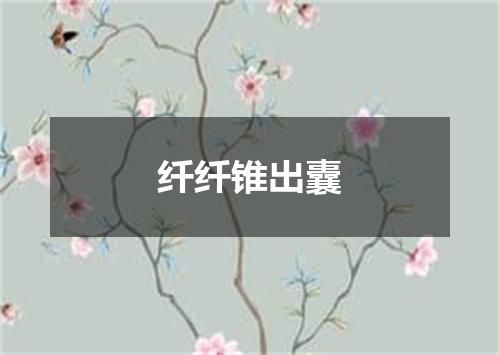 纤纤锥出囊