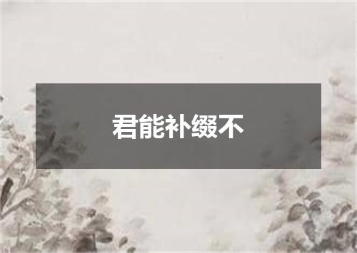 君能补缀不