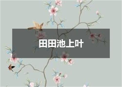 田田池上叶