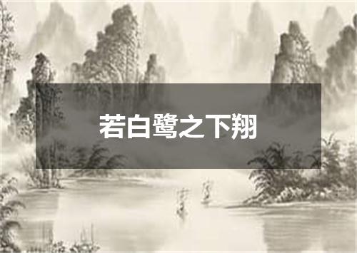 若白鹭之下翔