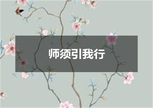 师须引我行