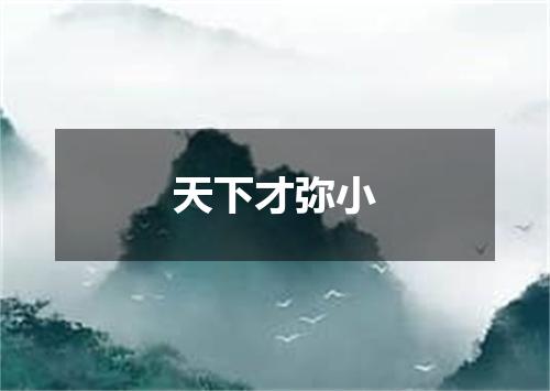 天下才弥小
