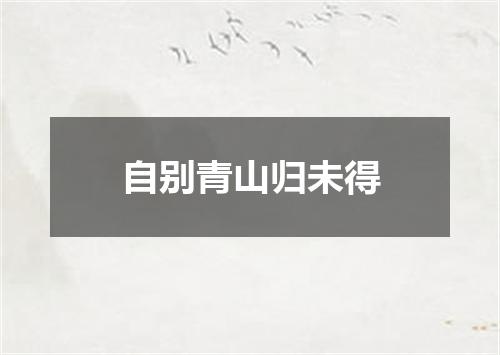 自别青山归未得