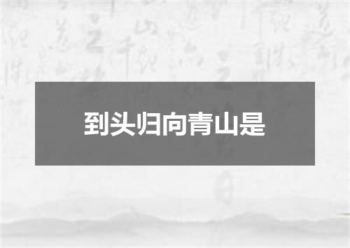 到头归向青山是