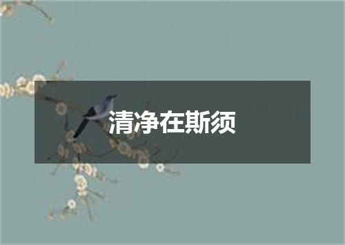 清净在斯须