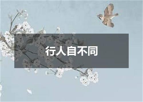 行人自不同