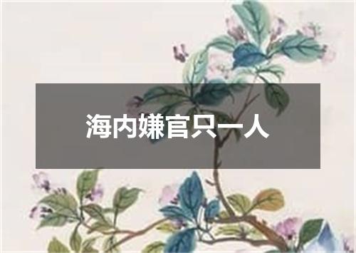 海内嫌官只一人