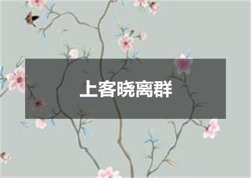 上客晓离群