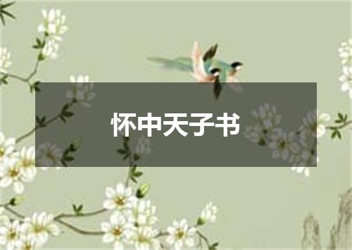 怀中天子书