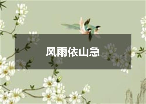 风雨依山急