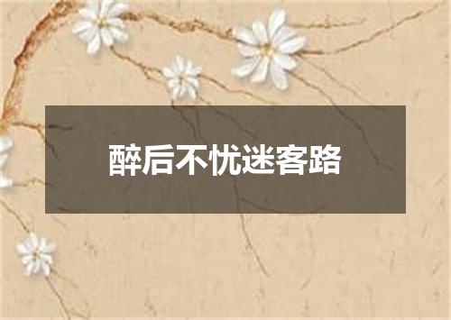 醉后不忧迷客路