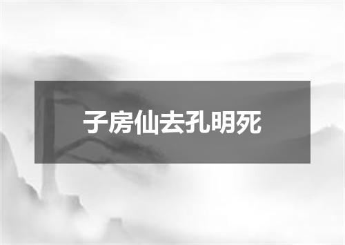 子房仙去孔明死