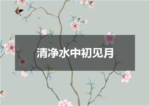 清净水中初见月