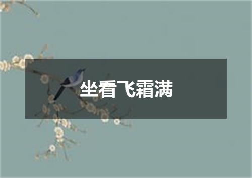 坐看飞霜满