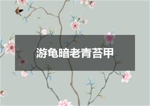 游龟暗老青苔甲