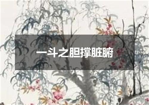 一斗之胆撑脏腑