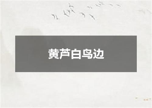 黄芦白鸟边