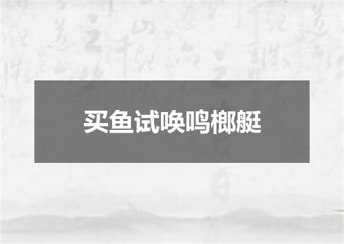 买鱼试唤鸣榔艇