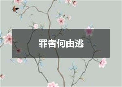 罪者何由逃