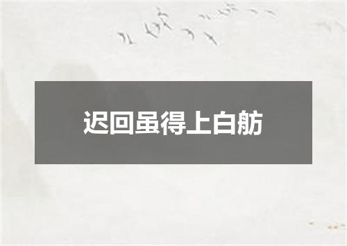 迟回虽得上白舫