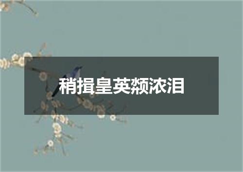 稍揖皇英颒浓泪