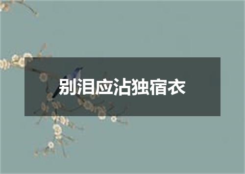 别泪应沾独宿衣