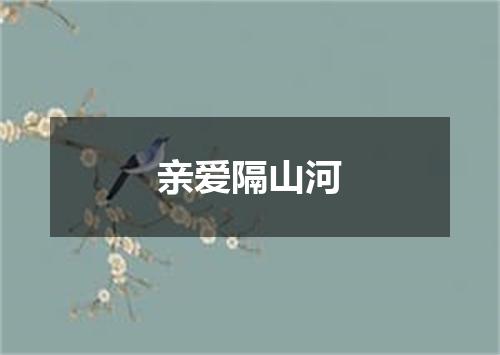 亲爱隔山河