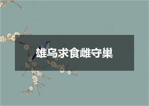 雄乌求食雌守巢