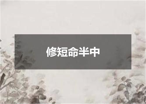 修短命半中