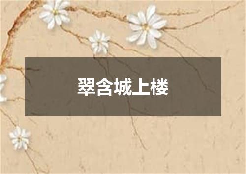 翠含城上楼