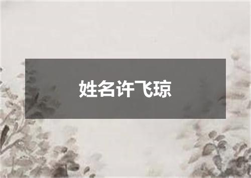 姓名许飞琼