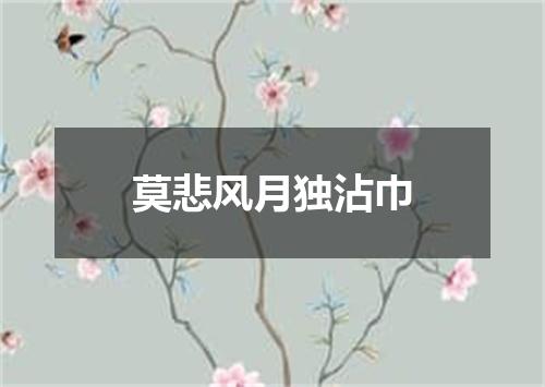 莫悲风月独沾巾