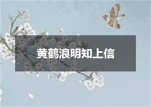 黄鹤浪明知上信