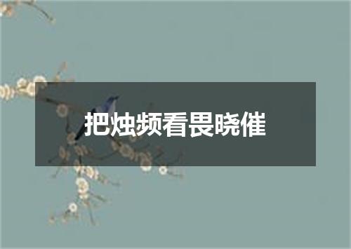 把烛频看畏晓催