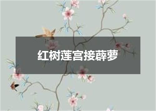 红树莲宫接薜萝