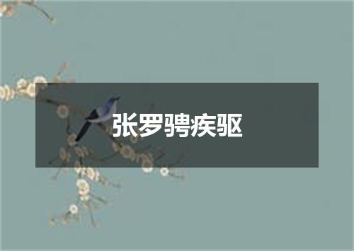 张罗骋疾驱