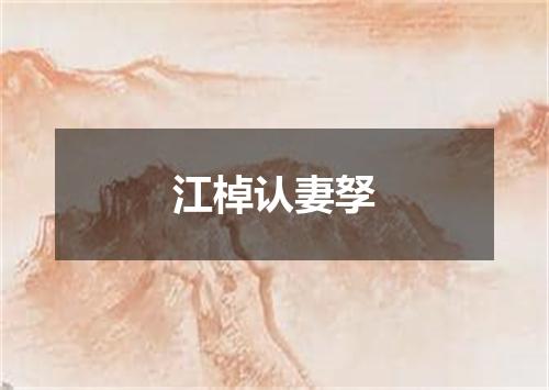 江棹认妻孥