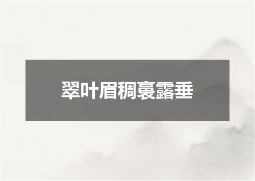 翠叶眉稠裛露垂