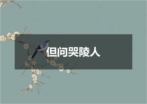 但问哭陵人
