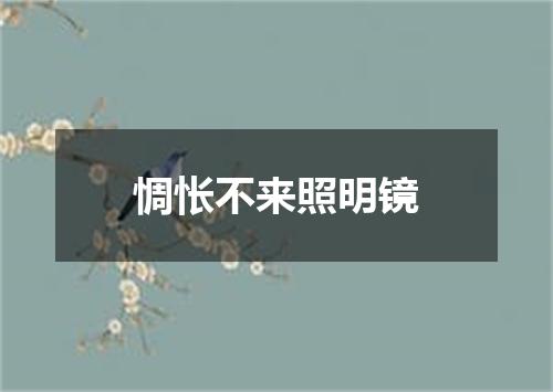 惆怅不来照明镜