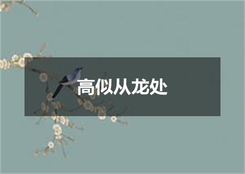 高似从龙处