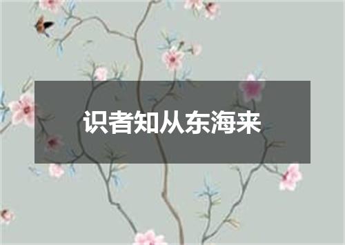 识者知从东海来