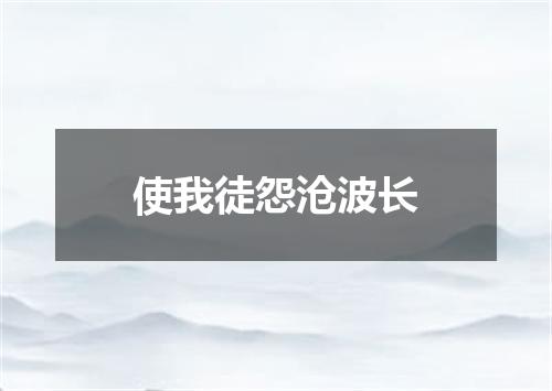 使我徒怨沧波长