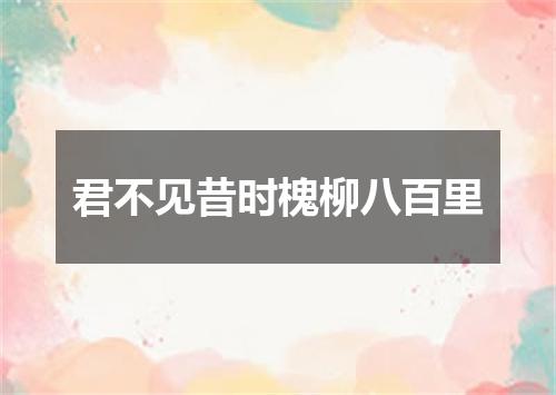 君不见昔时槐柳八百里