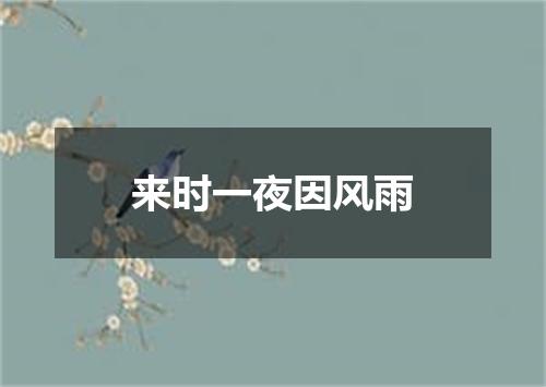来时一夜因风雨