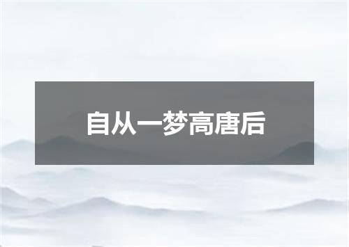 自从一梦高唐后
