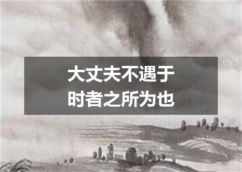 大丈夫不遇于时者之所为也