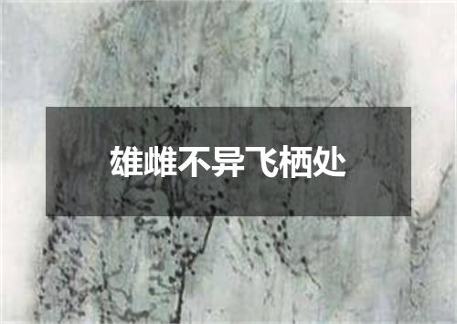 雄雌不异飞栖处